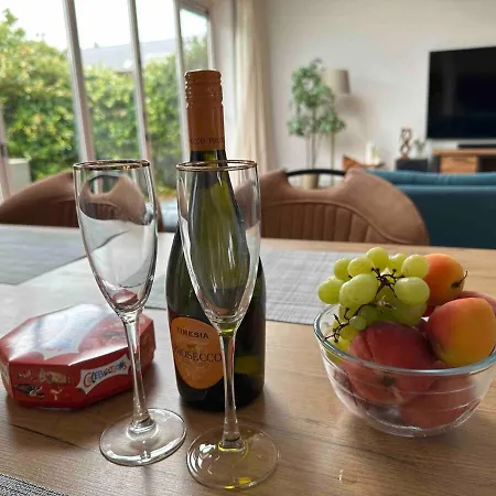 Luxury Vacation Villa, Private Jacuzzi & Sauna Villa Zoetermeer