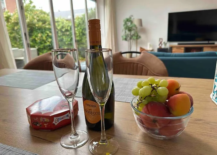 Modern And Luxury Vacation House, Private Jacuzzi Villa Zoetermeer